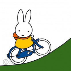 Dich Bruna Miffy on Bike