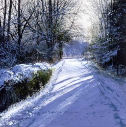 Paul Evans Winter Shadows