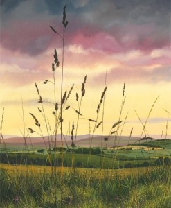 Arte - John Skinner Summer Time Grasses
