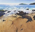 Richard Thorn Bantham Surf