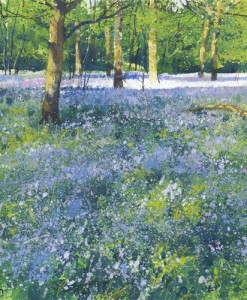 Richard Thorn Bluebell Wood