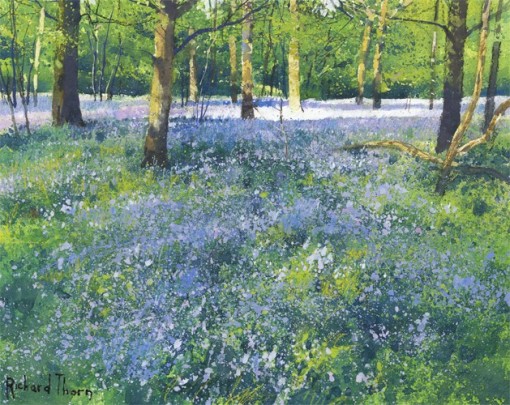 Richard Thorn Bluebell Wood 380x302_LE195_106