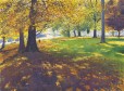 Richard Thorn Golden Afternoon