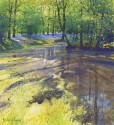 Richard Thorn Lower Pond at Beaton's Wood