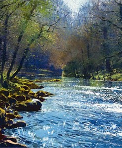 Richard Thorn The Dart Near Holne Bridge