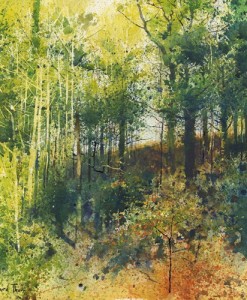 Richard Thorn Up Through the Woods